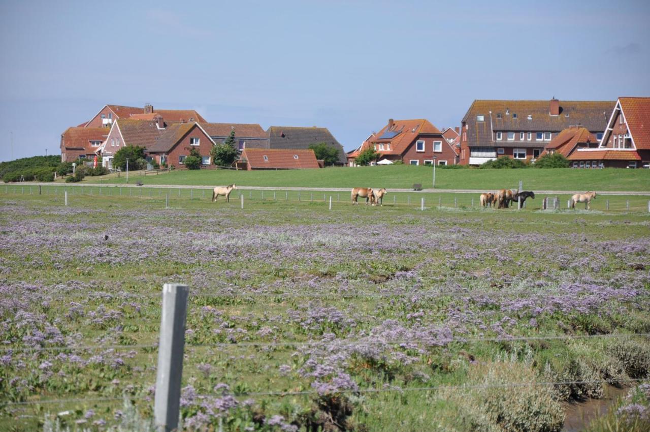 Seevilla Wietjes Whg 6 Baltrum Exterior photo